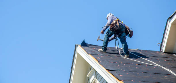 Best Gutter Installation and Roofing  in Flowery Branch, GA